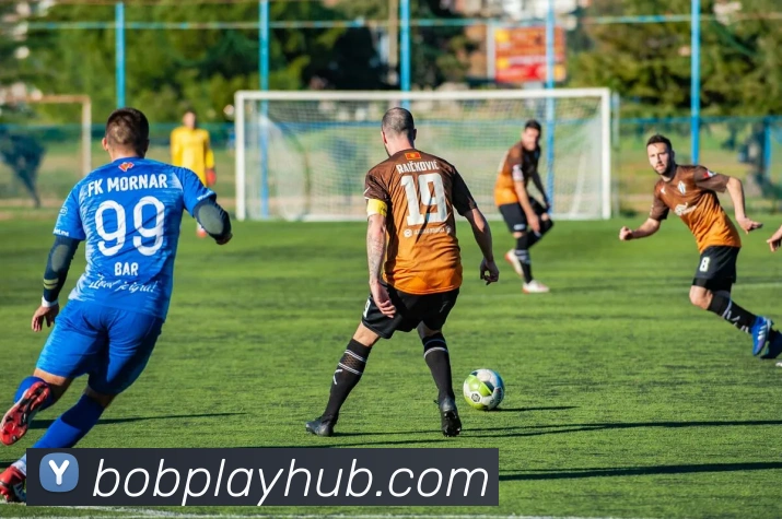 BOB体育APP 封面图